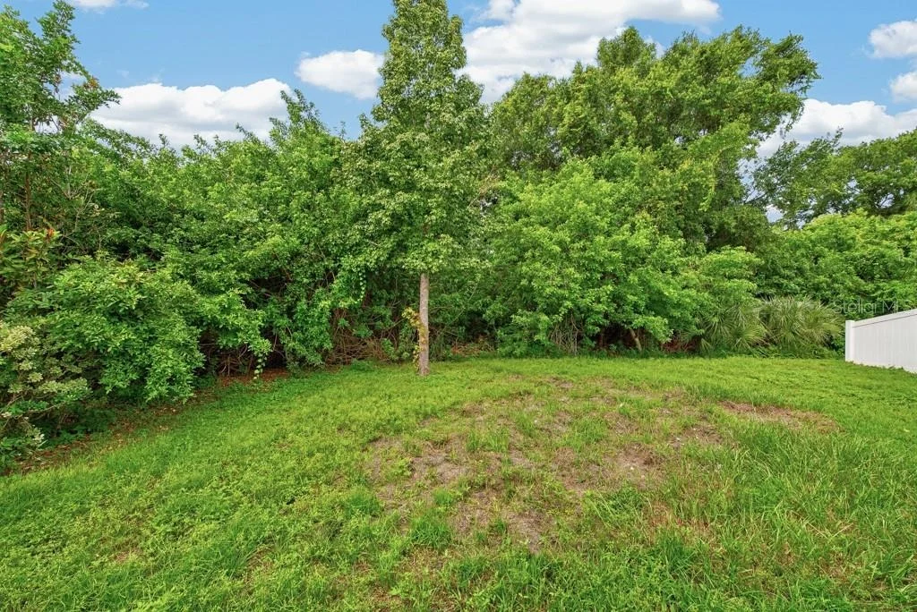 Photo of 11601 TANGLE STONE DRIVE