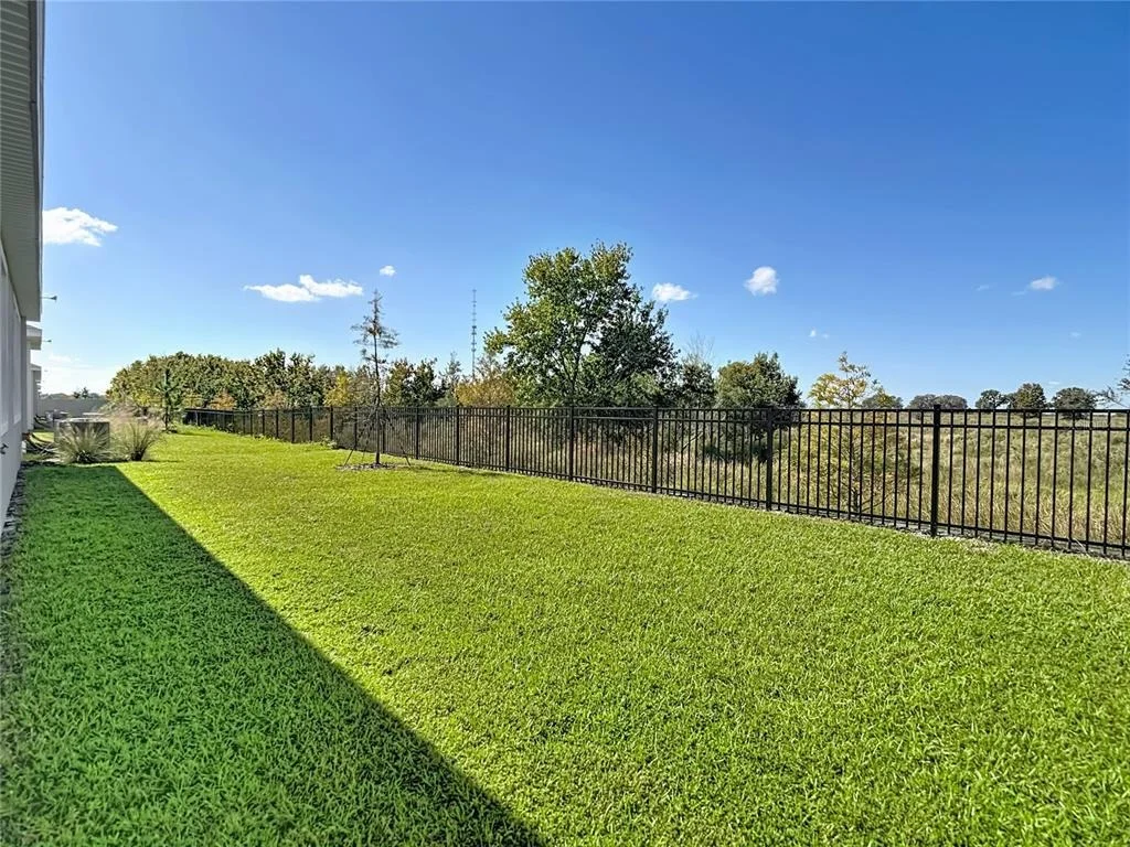 Photo of 10471 BRIDGEGATE HEIGHTS LOOP