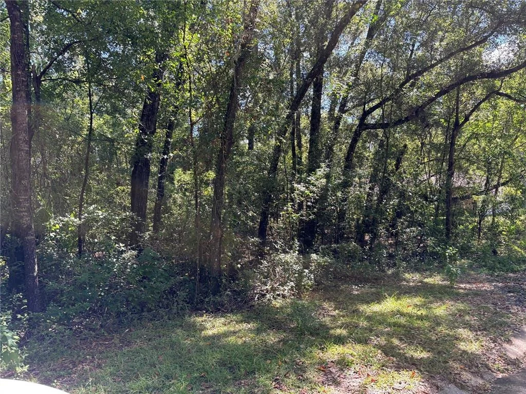 Photo of 1222 CLOVER TERRACE