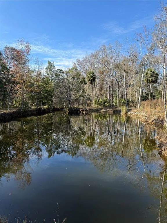 Photo of Track 79 CLAYTON ROAD