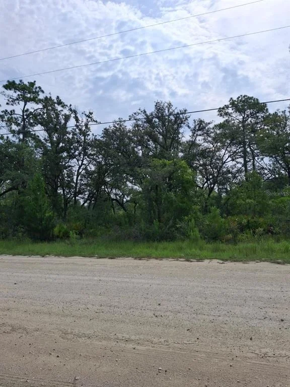 Photo of 18308 PARAKEET ROAD