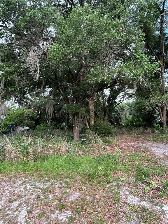 Photo of 508 PALMETTO STREET