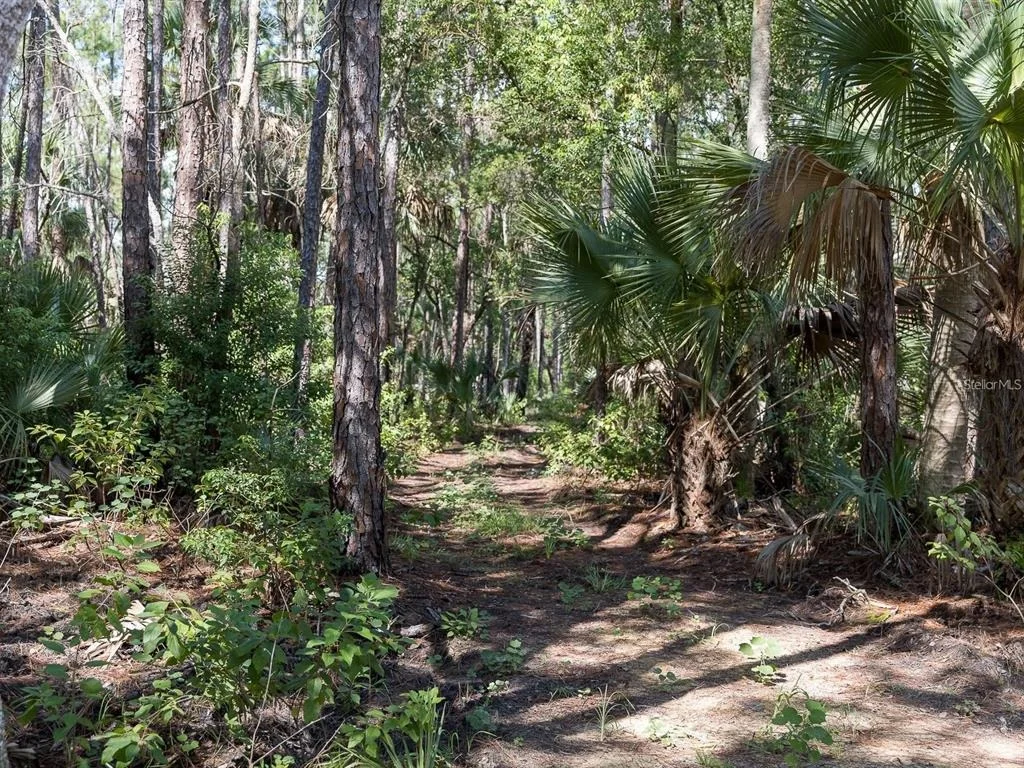 Photo of 37610 OAKLEE ROAD