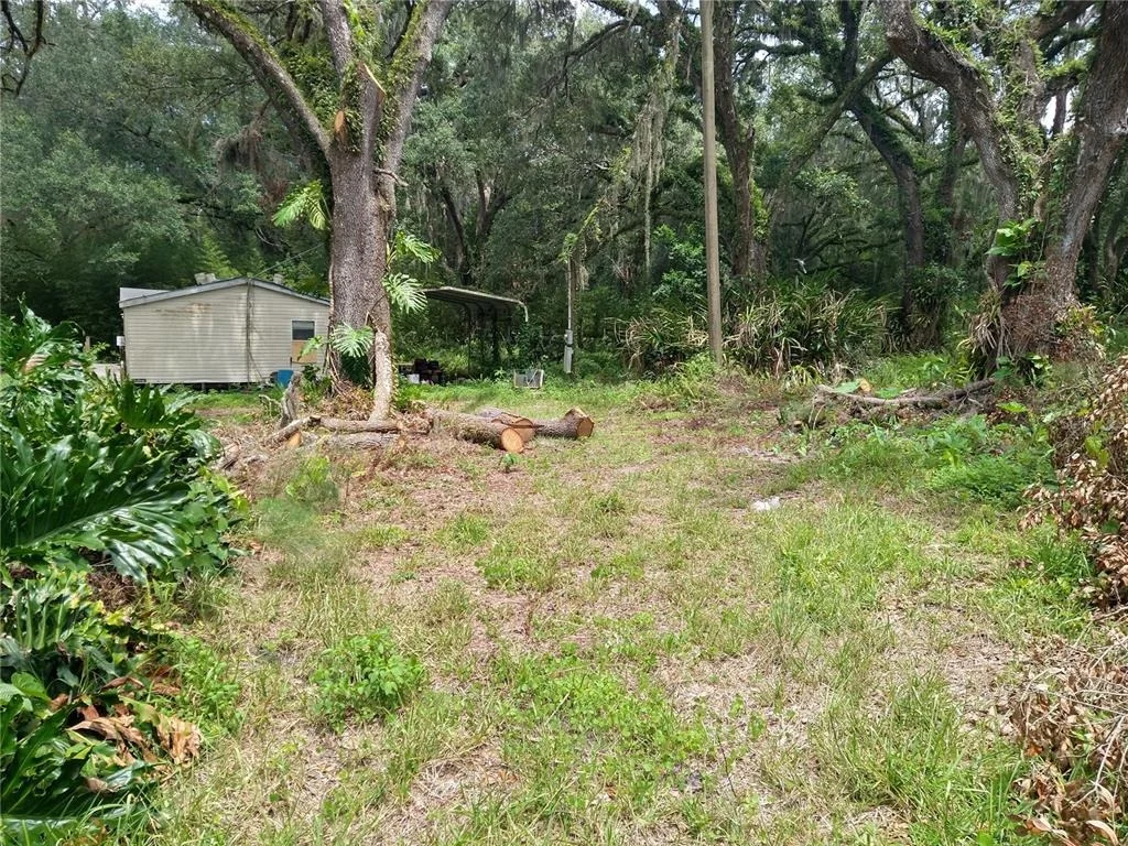 Photo of 10616 SHADY DRIVE