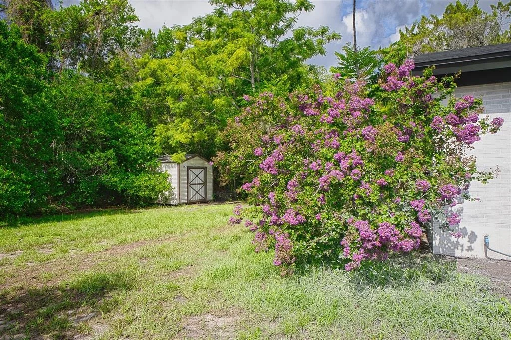 Photo of 102 AMIGOS ROAD