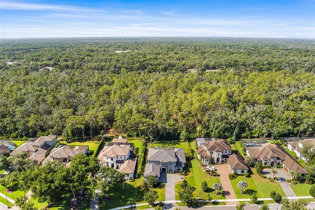 Photo of 14704 FISHHAWK PRESERVE DRIVE