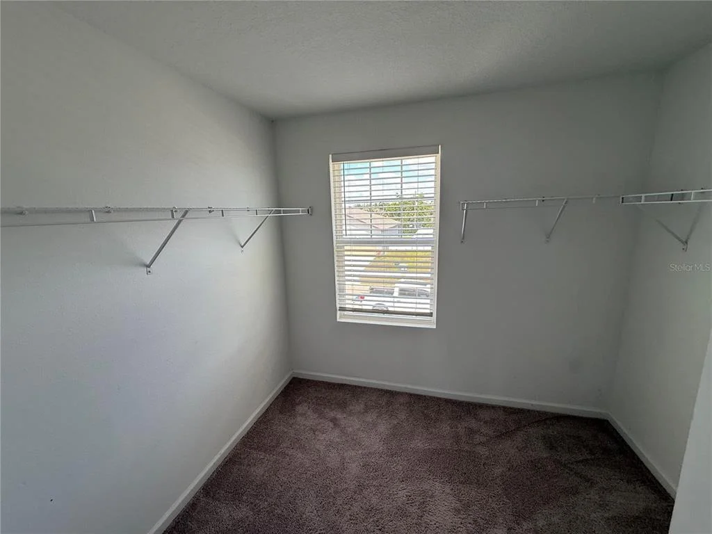 Photo of 462 SPOTTED SLIPPER PLACE