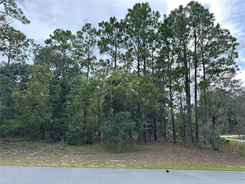 Photo of 5212 N PEPPERMINT DRIVE
