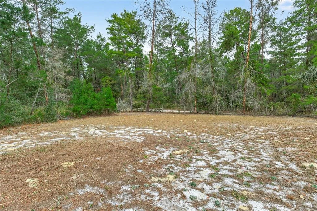Photo of 117 STODDARD ROAD