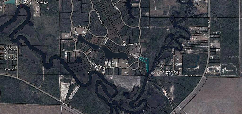 Photo of 603 WIDE WATER CIRCLE