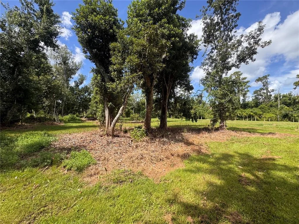 Photo of 12275 COUNTY ROAD 675