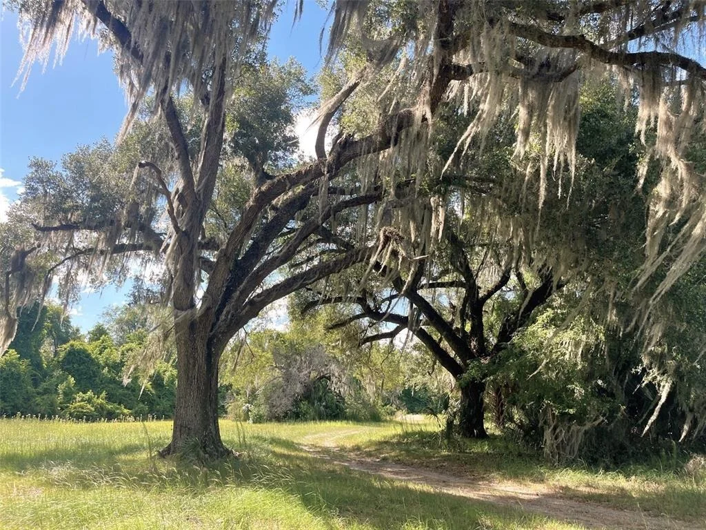 Photo of 11816 SE COUNTY ROAD 234
