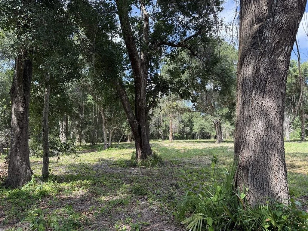 Photo of 620 COCHRAN ROAD