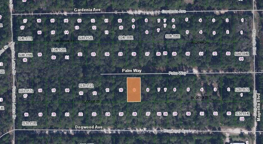 Photo of 117 PALM WAY