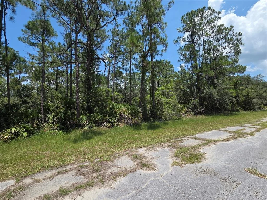 Photo of 0 ALLAMANDA DR