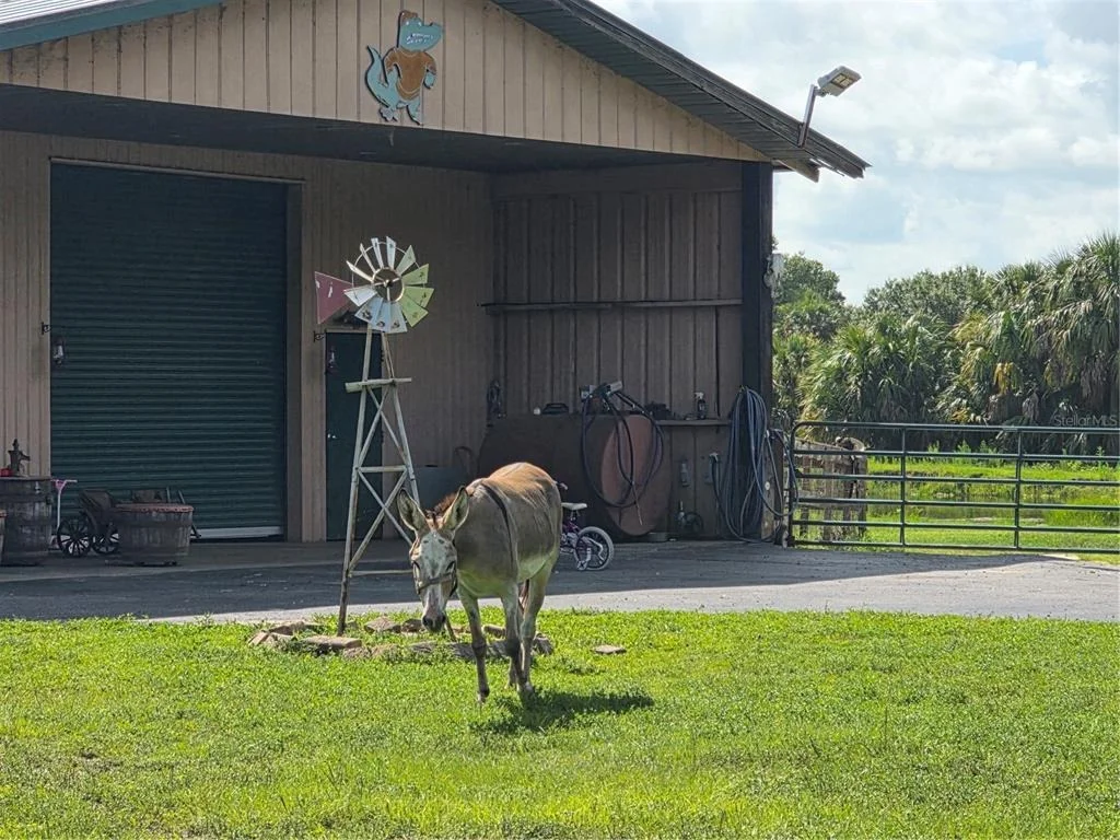 Photo of 43451 & 43631 FARABEE ROAD