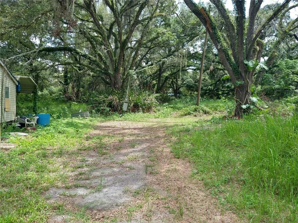 Photo of 10616 SHADY DRIVE