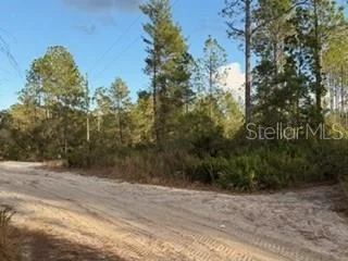 Photo of 880 STILL ROAD