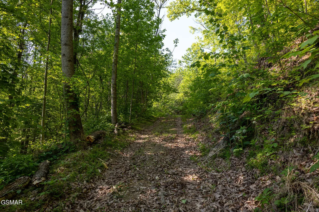 Photo of 1017/1035 Big Buck Trail