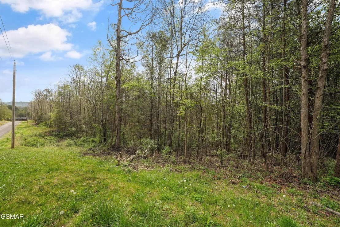 Photo of 1433 Timber Trail