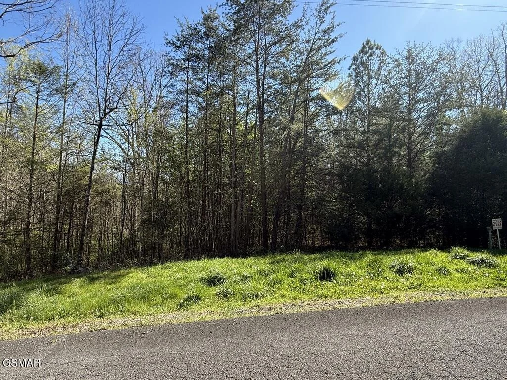 Photo of 1433 Timber Trail