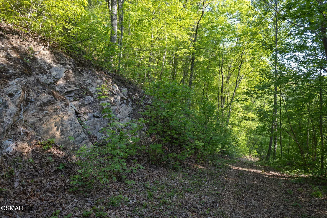 Photo of 1017/1035 Big Buck Trail