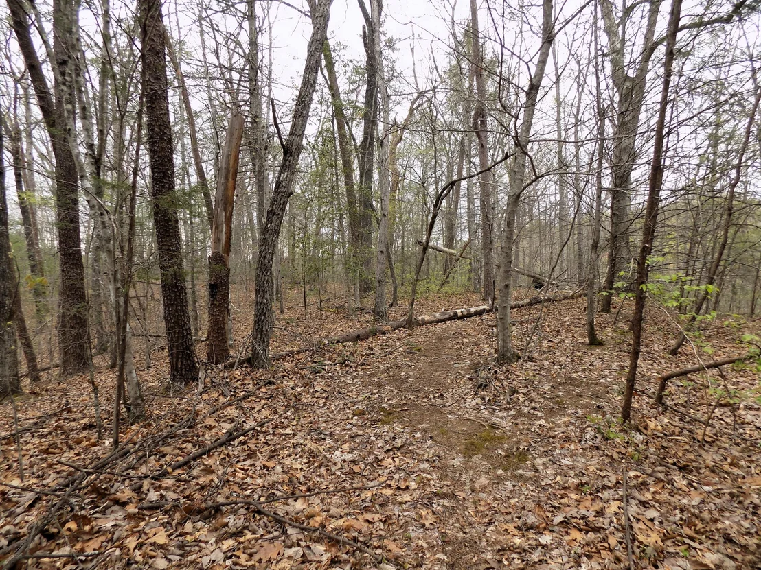 Photo of Par 001.08 Mountain Shadow Way