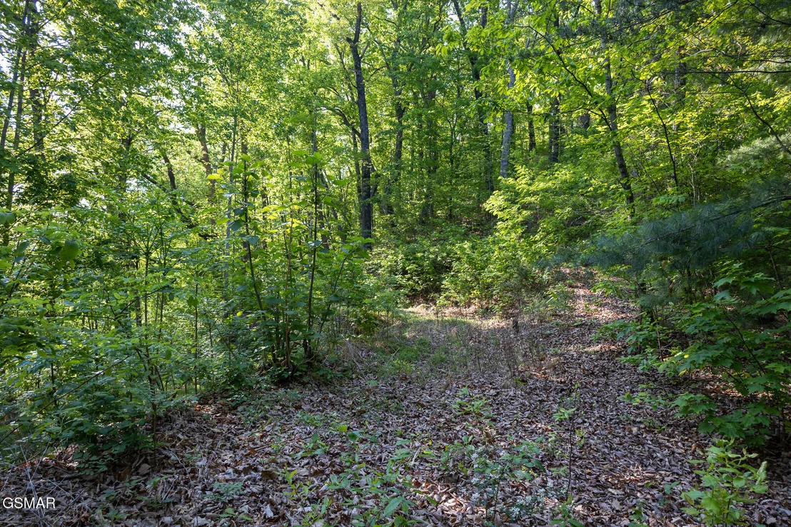 Photo of 1017/1035 Big Buck Trail