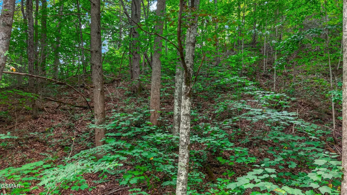 Photo of Lot 10 Maple Hill Way