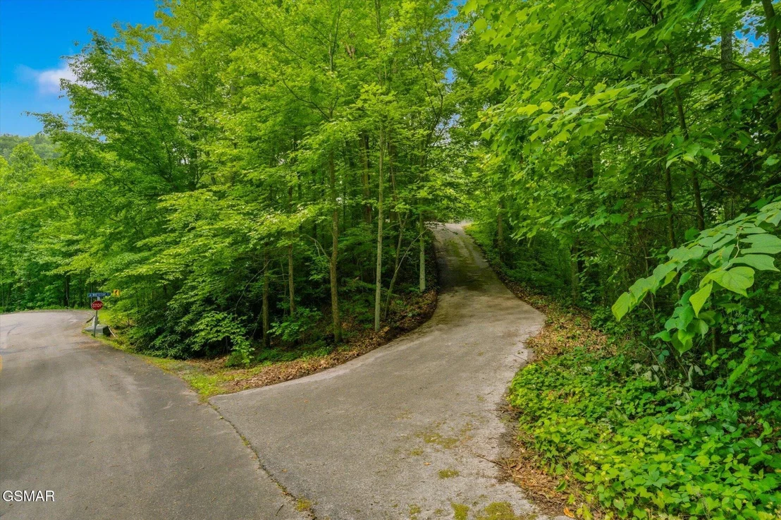 Photo of 2405 Deep Spring Lane