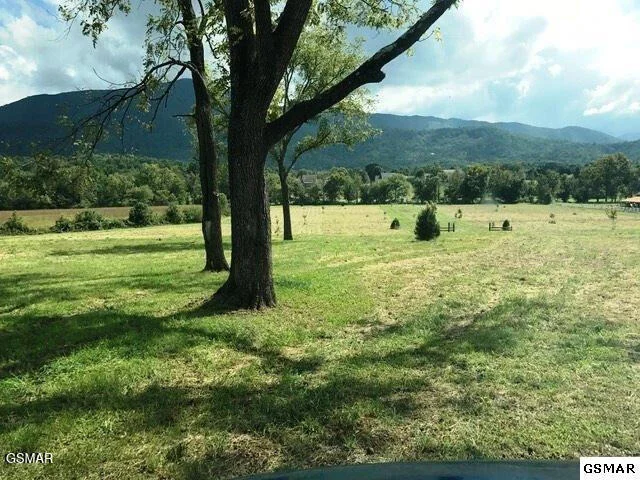 Photo of 3557 Wears Valley Road
