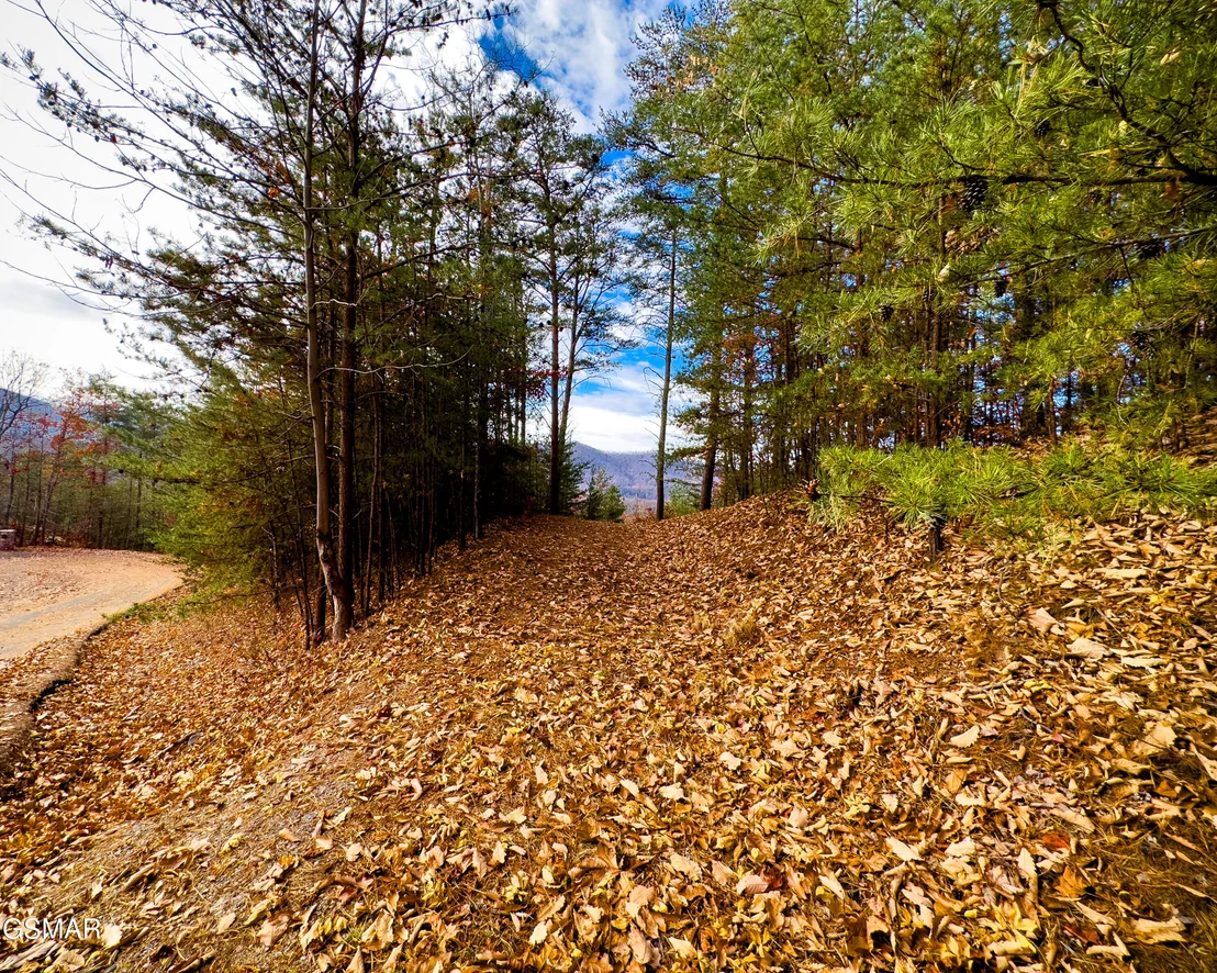Photo of Lot 12-E Stackstone Road