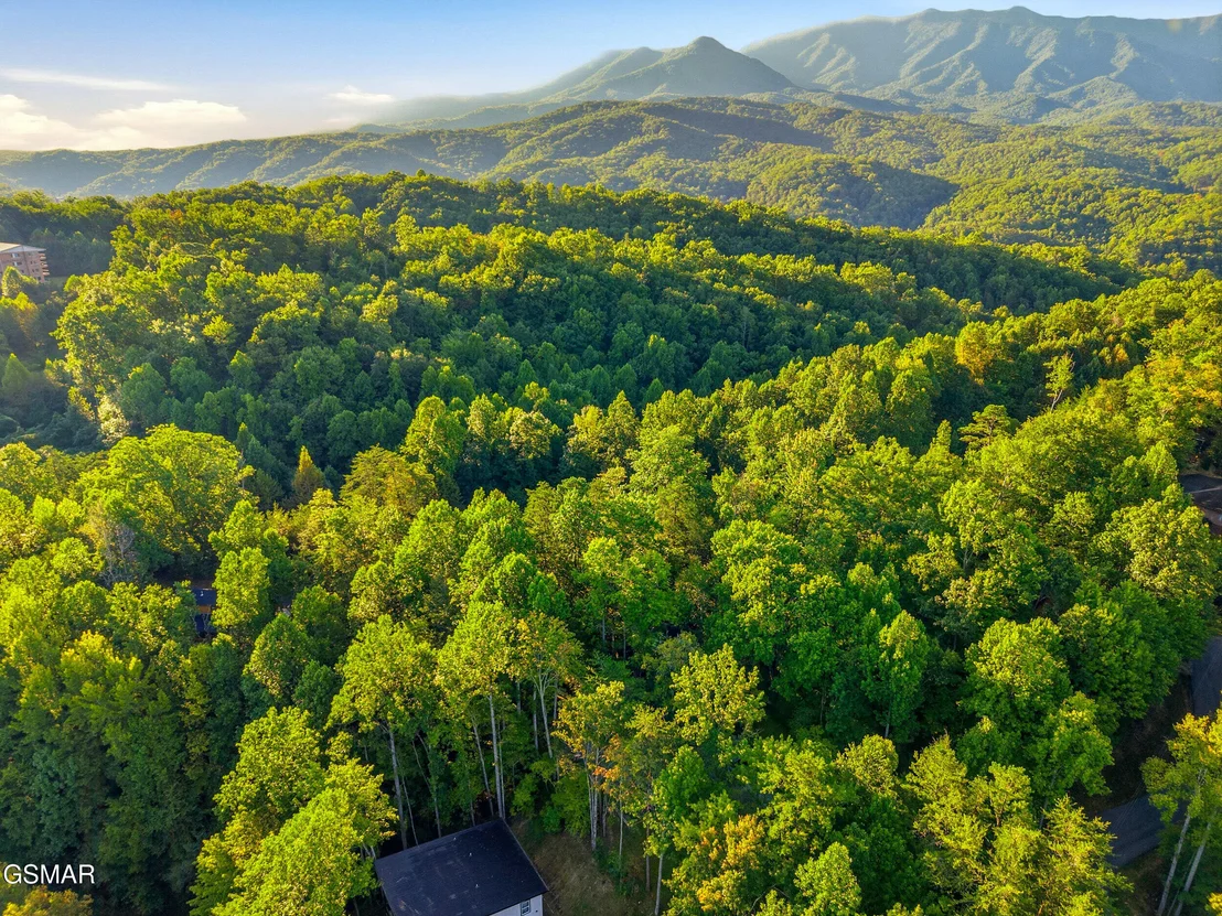 Photo of 507 Eagle Trail