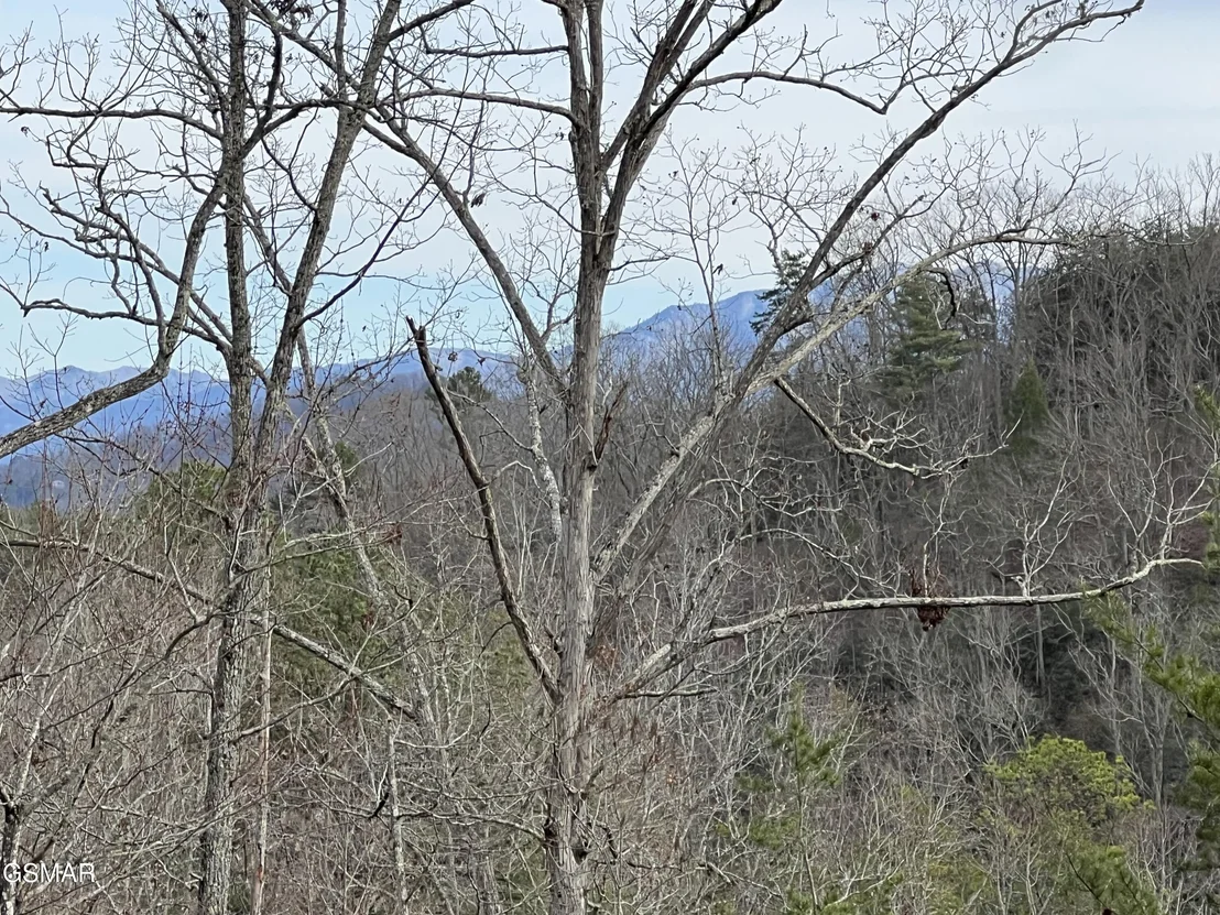 Photo of 1554 Bear Valley Road