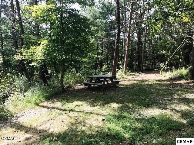 Photo of 3557 Wears Valley Road