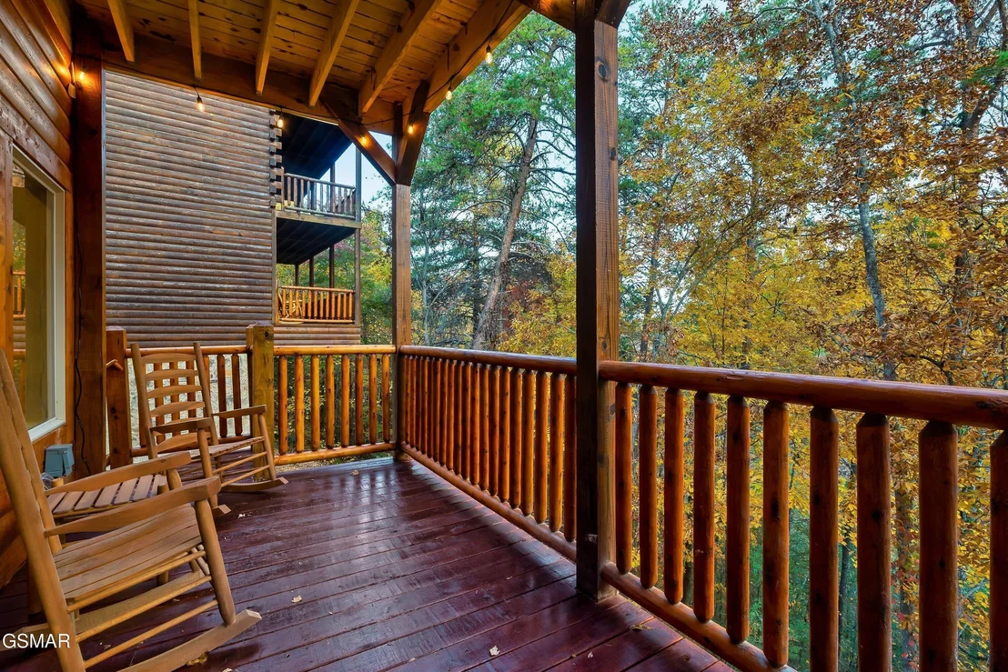 Photo of 842 Black Bear Cub Way