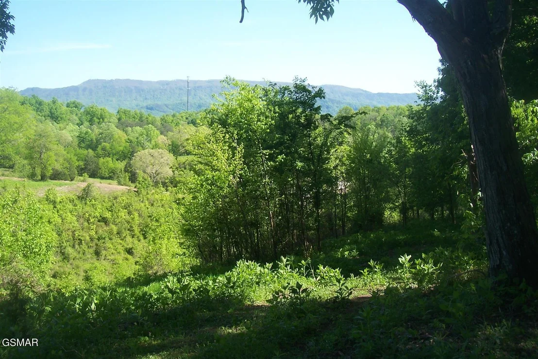 Photo of Tract 1 Chapman Highway Highway