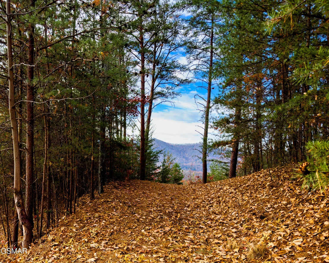 Photo of Lot 12-E Stackstone Road