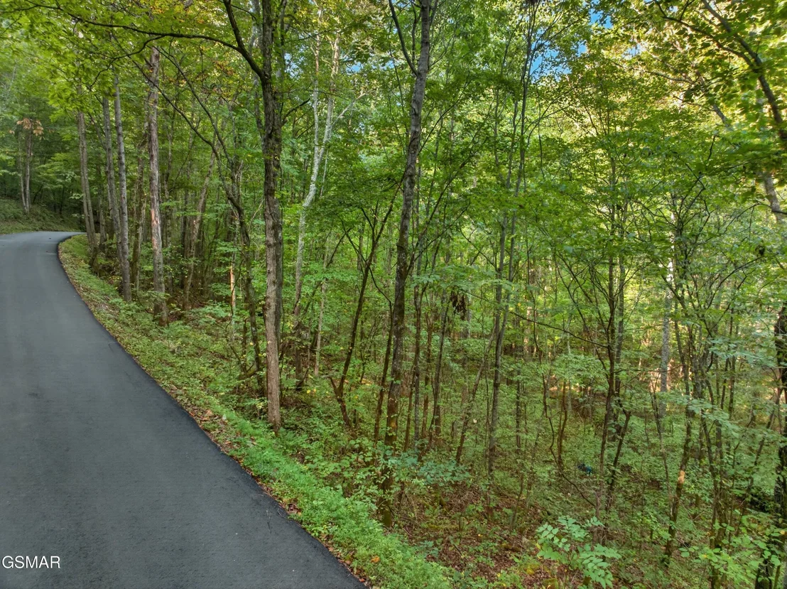 Photo of Lot 13-14 Speedwell Chuch Rd