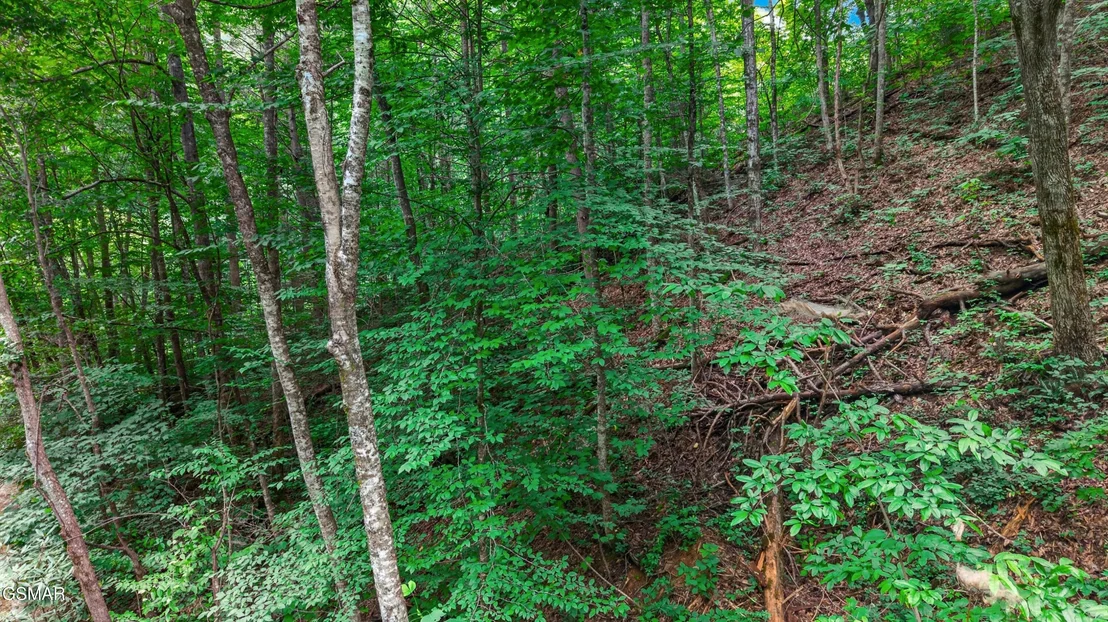 Photo of Lot 10 Maple Hill Way