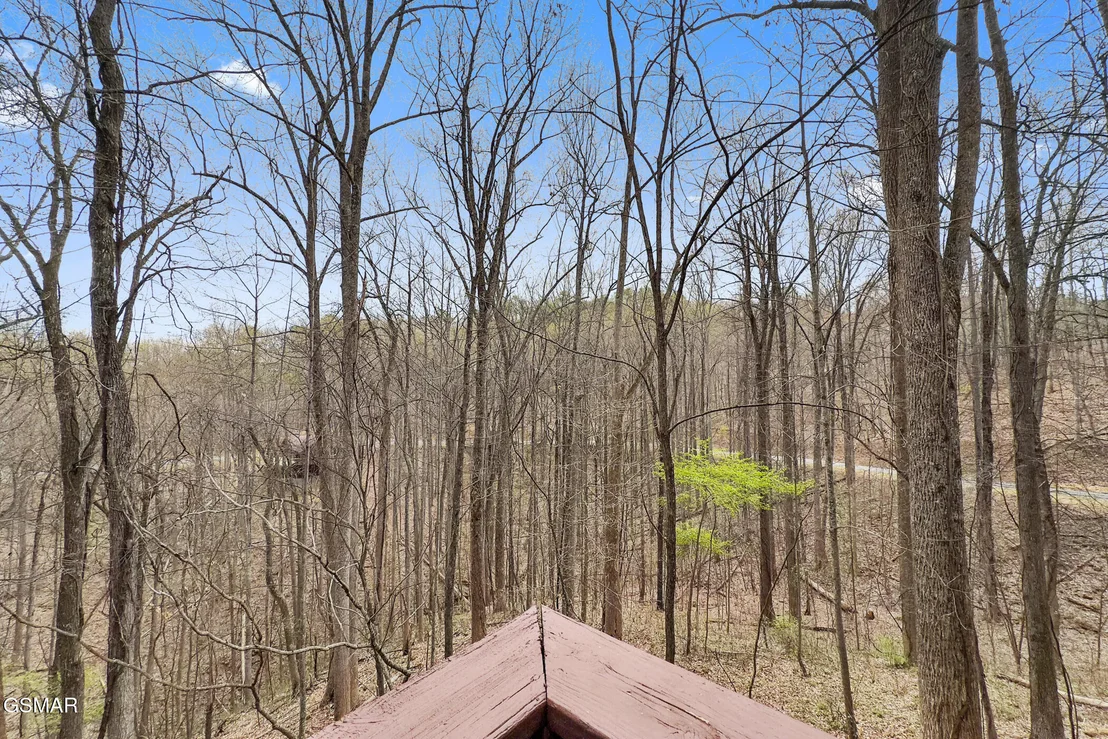 Photo of 3175 Emerald Springs Loop