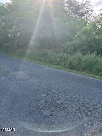 Photo of lot 52 Mary Alice Way
