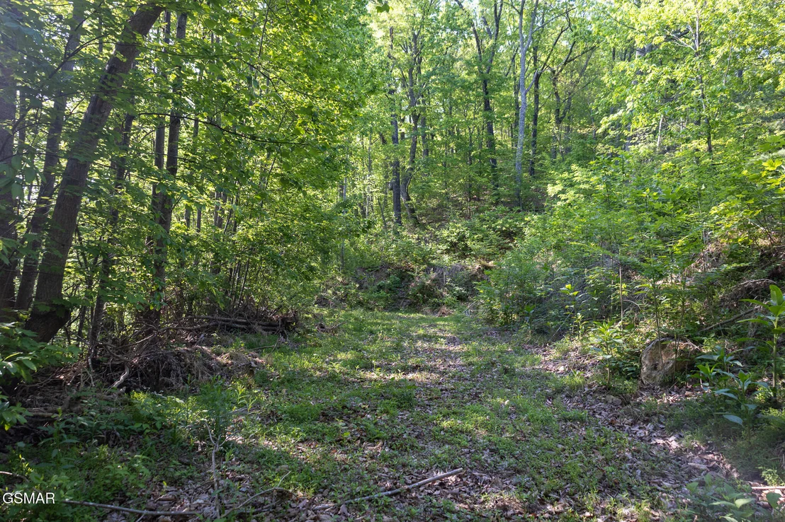 Photo of 1017/1035 Big Buck Trail