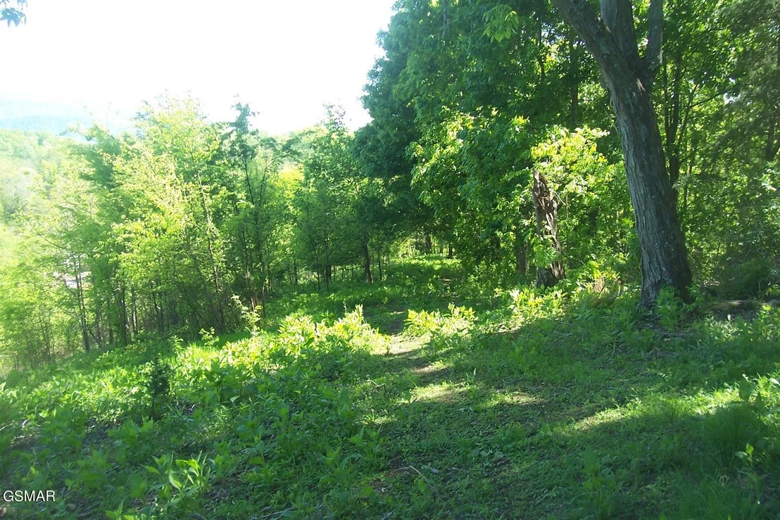 Photo of Tract 1 Chapman Highway Highway