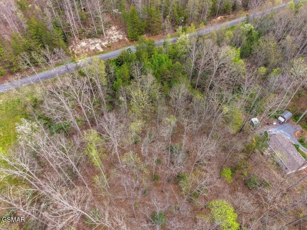 Photo of 1433 Timber Trail