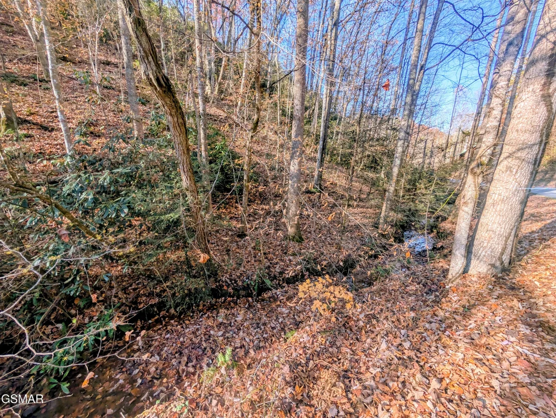 Photo of Lot 1908 Rose Pass