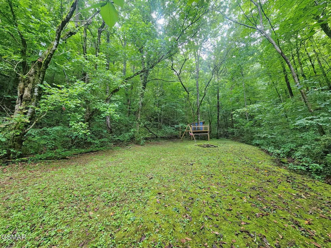 Photo of 890 Indian Gap Road