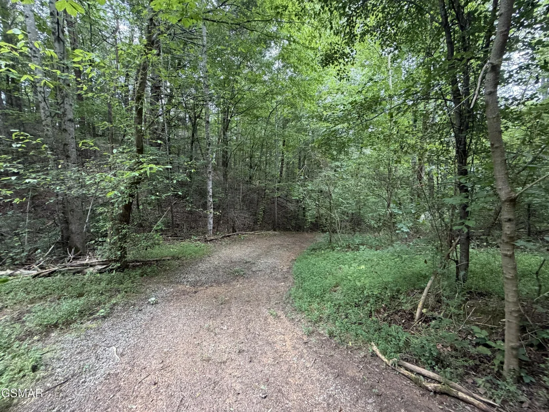 Photo of Lot 1-5 Forge Hideaway Road