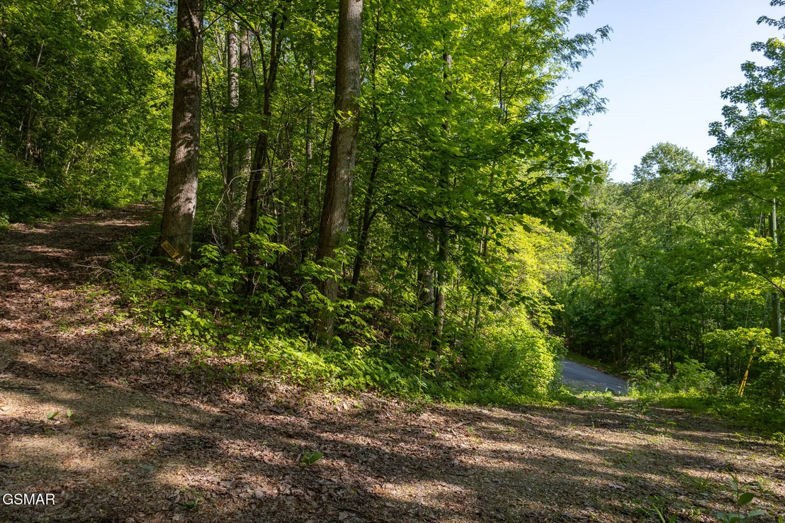 Photo of 1017/1035 Big Buck Trail