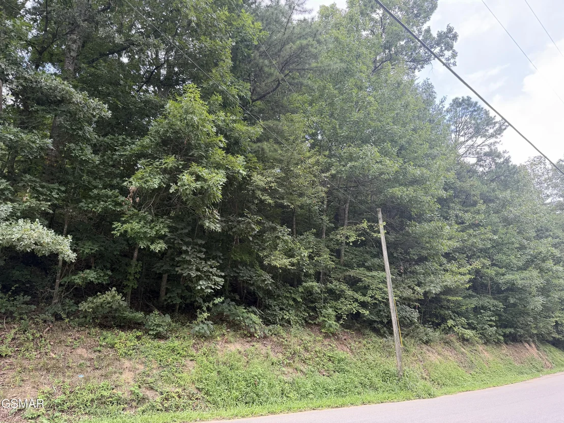 Photo of Lot 1-5 Forge Hideaway Road